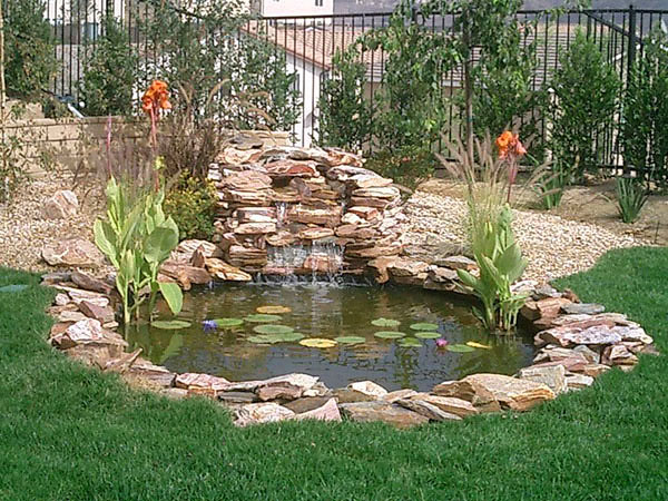 North Jersey Koi Ponds Contractor